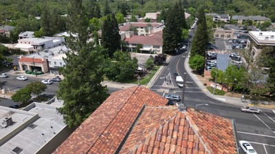 Aerial view of a residential area with greenery