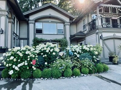 Exterior view of Felicity Senior Care with lush landscaping