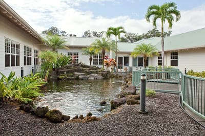 Outdoor garden area with a pond and tropical plants