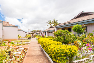 Pathway through a garden with building exteriors