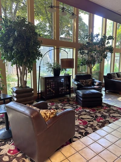Interior view of a cozy lounge area with plants