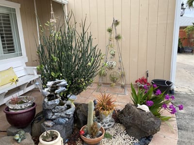 A tranquil outdoor garden area with plants and decorations