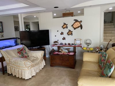 Cozy common area with decorative turtle wall art