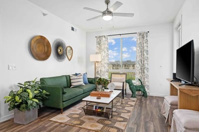 Bright interior of a living room with a green sofa