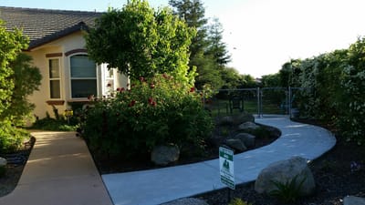 Pathway leading through a garden with colorful flowers