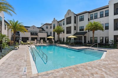 Outdoor pool area with lounge chairs and palm trees