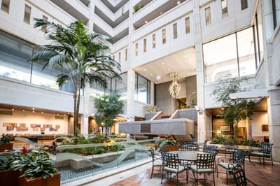 Interior common area with plants and seating
