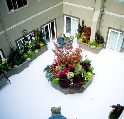Colorful flower planters in an outdoor space