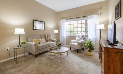 Bright and cozy interior living room with natural light