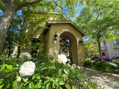 Building entrance surrounded by flowers and trees