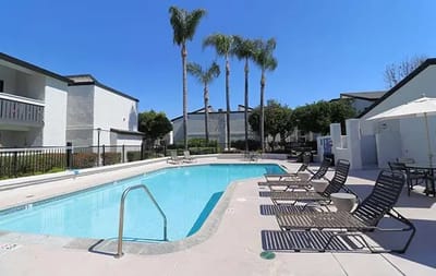 Pool area surrounded by palm trees and lounge chairs