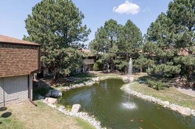 Scenic view of a pond surrounded by trees