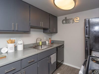 Modern kitchen interior with gray cabinets and appliances