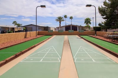 Outdoor shuffleboard court with palm trees