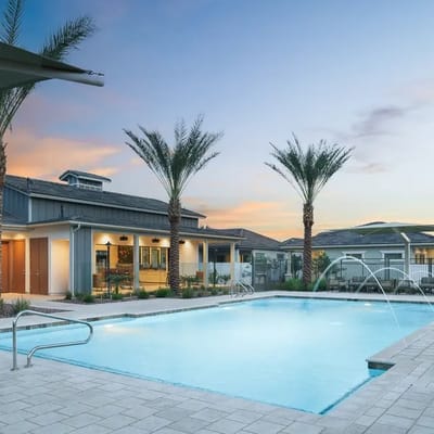 Outdoor pool area with palm trees and seating