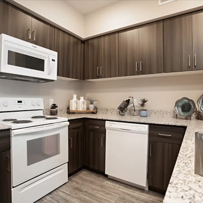Modern kitchen interior with appliances and cabinetry