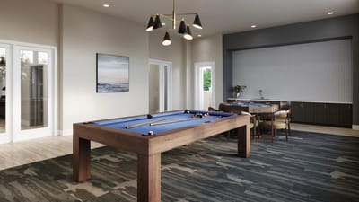 Activity room with a billiard table and seating