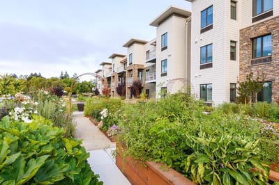Beautifully landscaped outdoor garden area of a retirement community