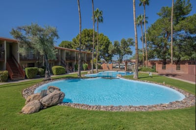 Outdoor pool area with palm trees and greenery