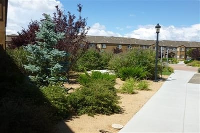 Well-maintained outdoor space with landscaped gardens