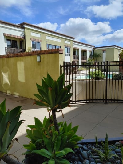 Outdoor space with plants and a pool area