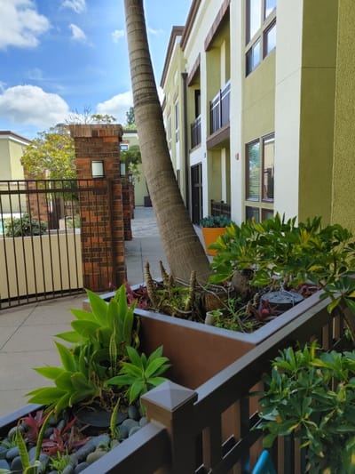 Pathway and landscaping at Ramona Park Senior Apartments