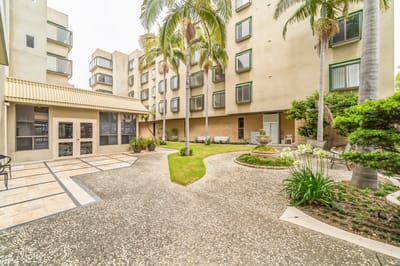 Serene courtyard with palm trees and seating