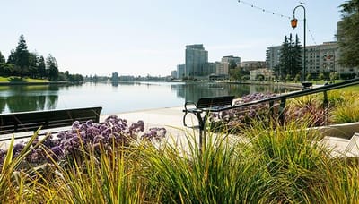 Scenic view of a lake with benches and flowers
