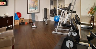 A fitness area with gym equipment and exercise balls