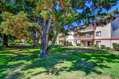 Exterior view of Hammer Lane Village with trees and lawn