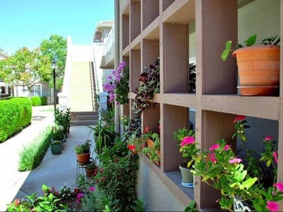 Decorative outdoor area with colorful flowers and plants