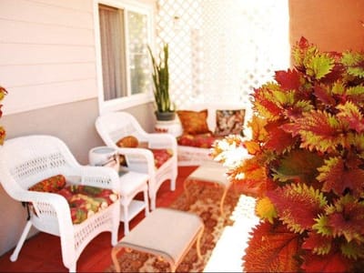 Outdoor seating area with plants and colorful decor