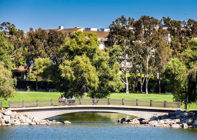 Scenic view of a bridge over a pond with greenery