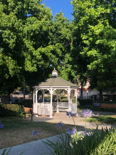A gazebo surrounded by greenery in the outdoor space