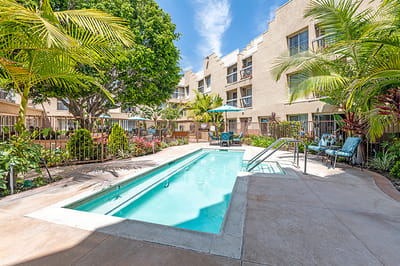 Outdoor pool area surrounded by lush landscaping