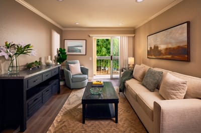 Cozy living room with natural light and comfortable seating
