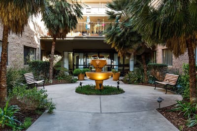 Courtyard with a fountain surrounded by palm trees