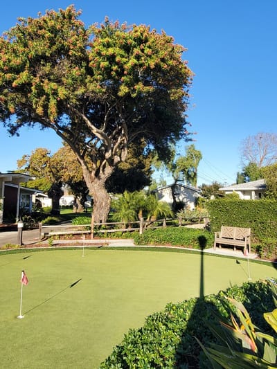 Outdoor putting green surrounded by trees and landscaping