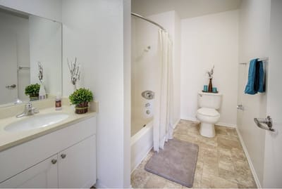 Bright and clean bathroom in a senior apartment