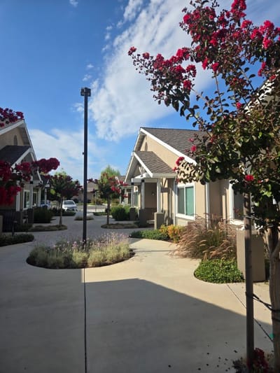 Walkway with flowering plants near resident cottages