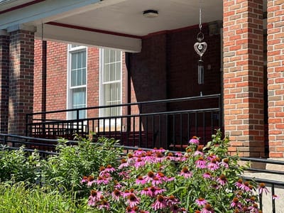 Colorful flowers in front of a building entrance