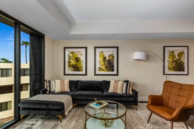 Stylish living room area with natural light