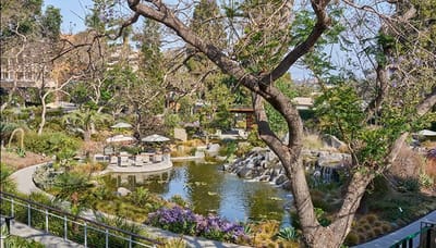 Beautiful landscaped garden with water features