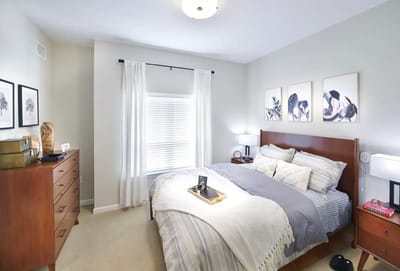 Brightly lit private bedroom with modern decor