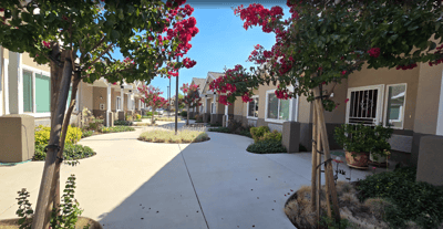 Charming outdoor walkway with blooming flowers