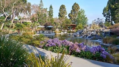 Beautiful outdoor garden with a pond and seating area