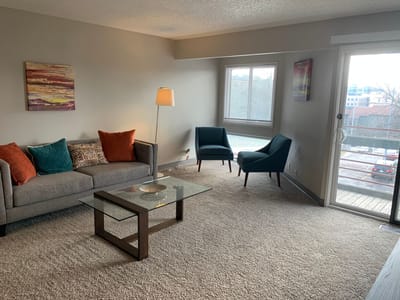 Well-furnished living room with natural light