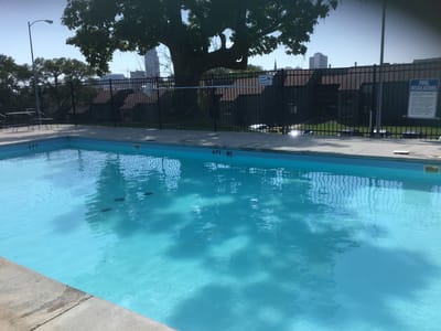 Swimming pool surrounded by a fence