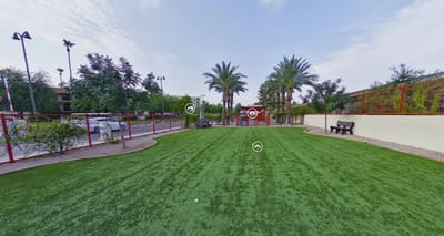 Well-maintained outdoor space with turf and palm trees