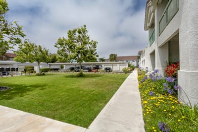 Well-maintained garden area with blooming flowers and trees